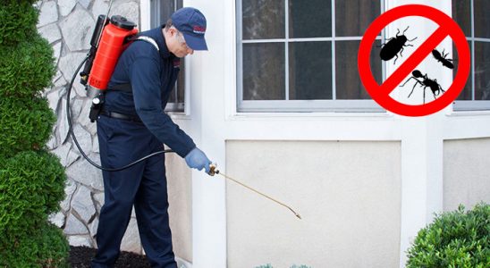Dikili Böcek ve Haşere İlaçlama böcek ilaçlama ve haşere kontrolü — ilaclama-tr.com